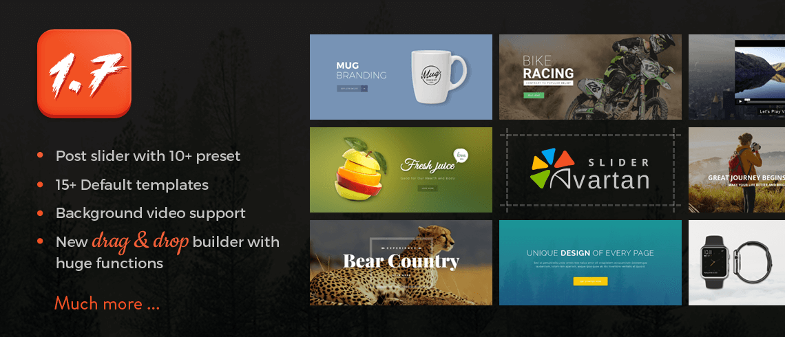 Avartan Responsive Element WordPress Slider Plugin