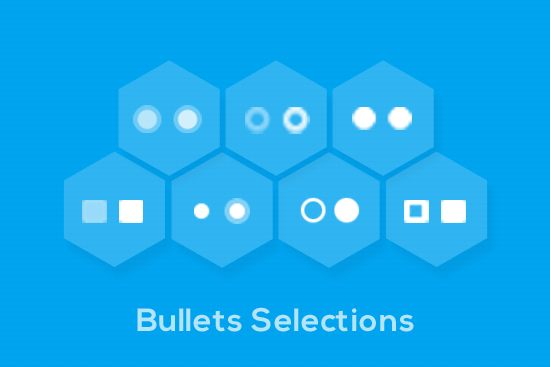 Layer Responsive Slider WordPress Plugin