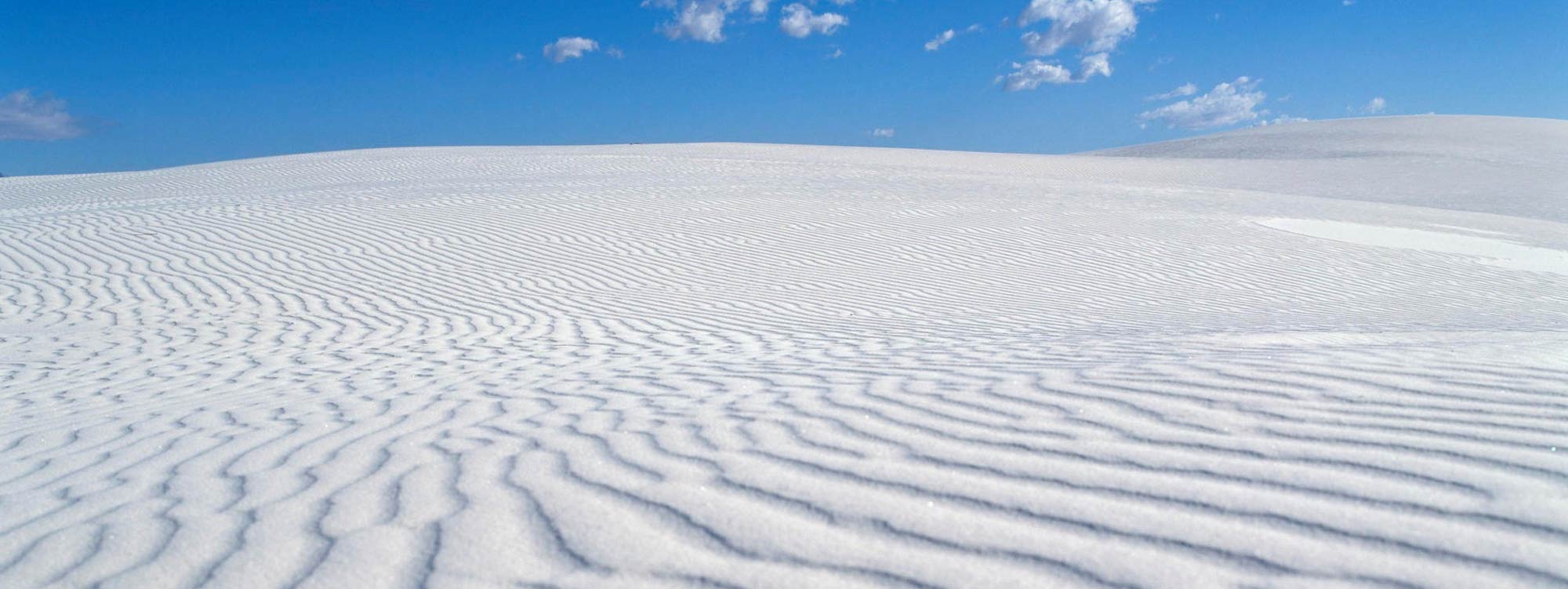 white-rann-bg-6