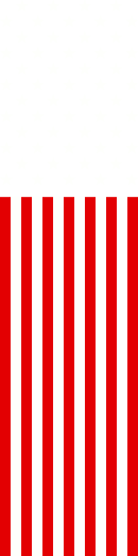 USA flag