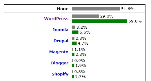wordpress usage